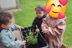 Activités dans le jardin