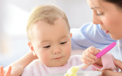 Crèche privée à Luxembourg : des repas sains et variés chez Crèche Reebou Kanner avec Little Bob